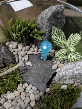 Copyright : Johanna Heather Anselmo